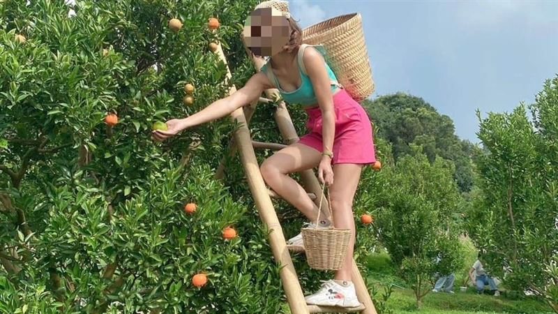 台灣新聞通訊社-說好的輕鬆賺？泰女賣房赴台採草莓　秒遭「選妃」再日操16小時後丟包
