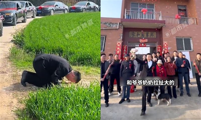 台灣新聞通訊社-破除習俗？迎娶車隊繞路只為這件事！新郎大喊1句話惹鼻酸 內幕大曝光