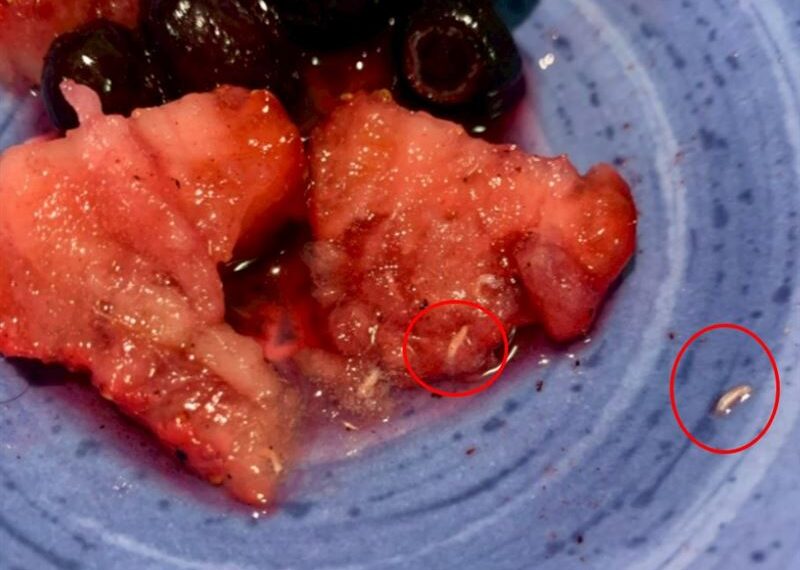 台灣新聞通訊社-好市多冷凍草莓驚見「蠕動白蟲」⋯苦主:已吞百顆!衛生局稽查結果曝光