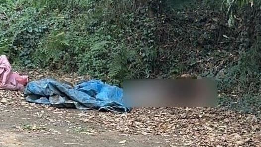 台灣新聞通訊社-男遭挖眼去皮棄屍百果山！警揭「破得最玄奇」：冥冥中被牽引12小時逮人