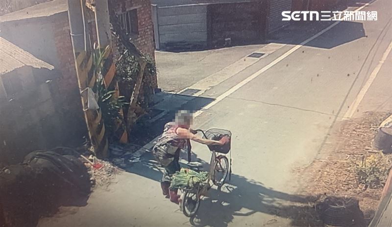 台灣新聞通訊社-76歲嬤遭3犬瘋咬200傷！郵差「惡犬分布圖」神助攻…凶犬特徵全曝光