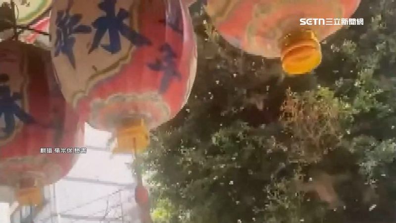 台灣新聞通訊社-獨家/台南永華宮萬蜂飛舞奇觀 信眾:跟神明祝壽