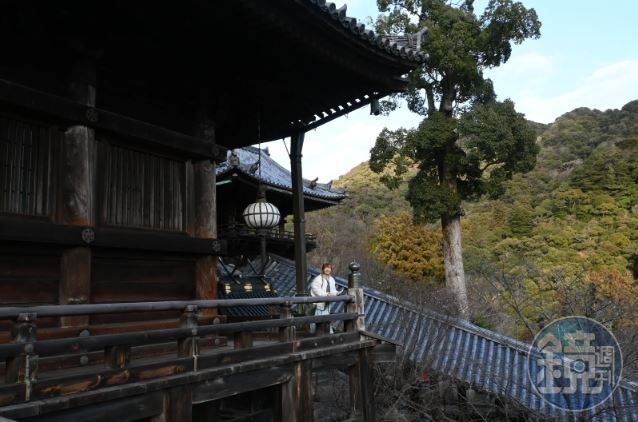 台灣新聞通訊社-參拜完會變漂亮！四季皆美花之御寺　特別拜觀朝聖12公尺日本國寶觀音像