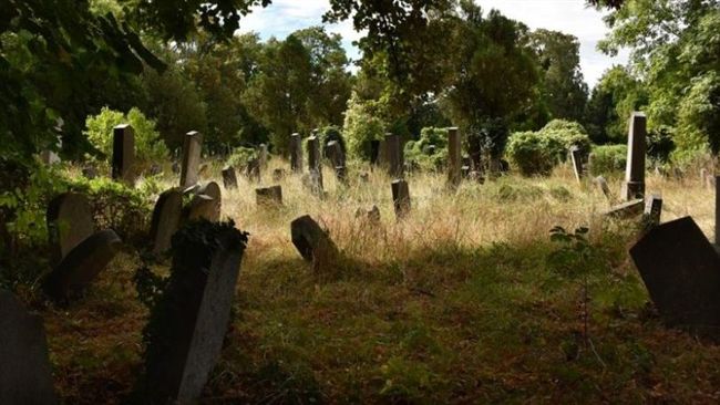 台灣新聞通訊社-掃墓喊累「明年不來了」成遺言 57歲男講完話倒地身亡