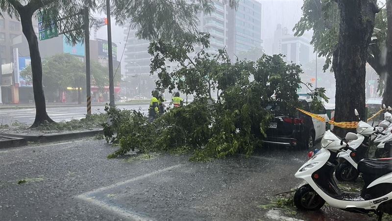 台灣新聞通訊社-凱米橫掃全台他上班撞樹摔車!怒求國賠51萬 結局神反轉騎士慘輸