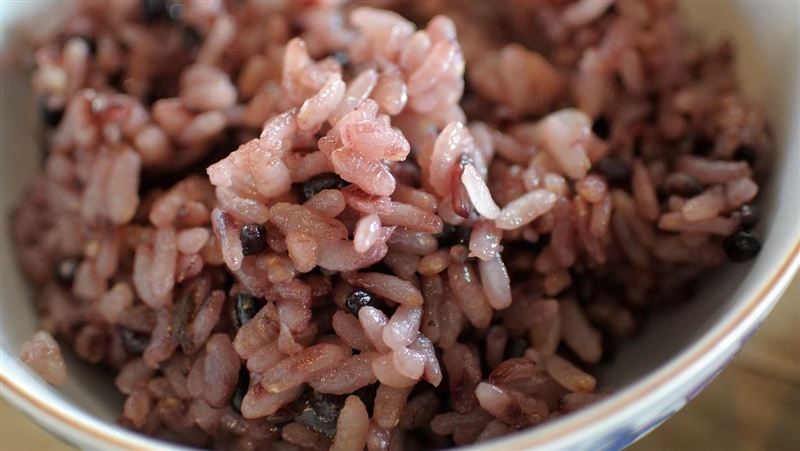 台灣新聞通訊社-吃糙米沒比較健康？腎病飲食4大誤區　吃錯反加重負擔