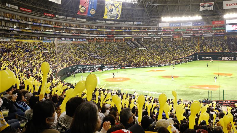 台灣新聞通訊社-日職／李多慧、林襄5女神同行　味全龍開團！帶球迷福岡應援軟銀鷹