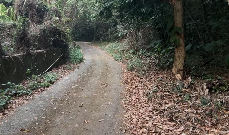 台灣新聞通訊社-挖眼削臉命案主嫌竟辯「臉是被野狗咬的」爆內幕：外甥遭餵毒還「硬上」