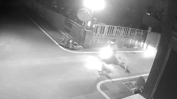 台灣新聞通訊社-彰化嬤遭群犬圍攻200傷、清創4次　警藉「郵差地圖」揪出養雞場主送辦