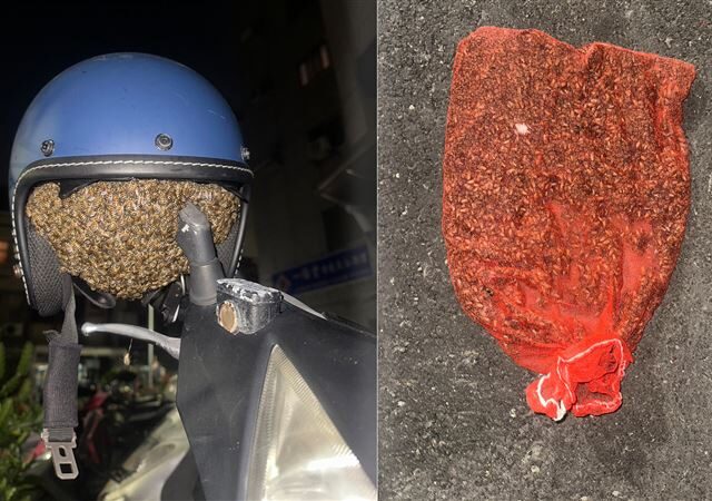 台灣新聞通訊社-恐怖！台南女戴帽驚覺「熱熱刺刺」 一看竟變蜂群豪宅：還有蜜耶