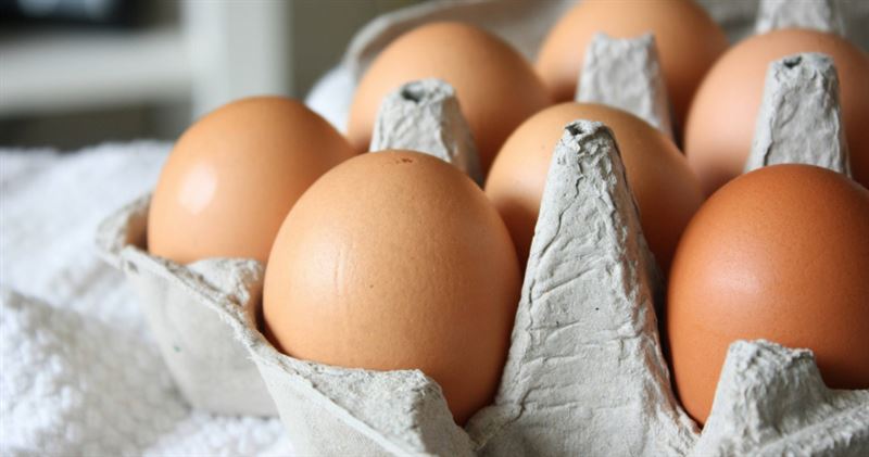 台灣新聞通訊社-吃生雞蛋恐禿頭？營養師揭「3大迷思」　健康吃法曝光