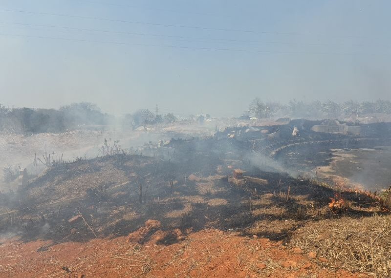 台灣新聞通訊社-公墓放火還直播！男子自稱「台中義消」燒雜草快閃　消防局說話了