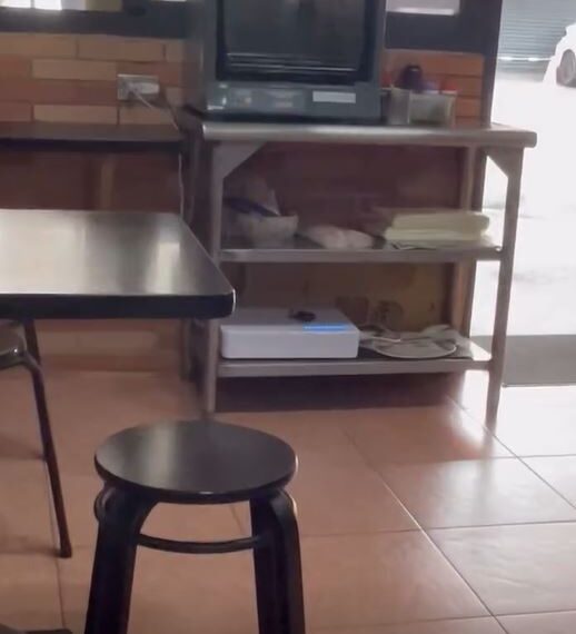 台灣新聞通訊社-為拚翻桌率？小吃店被抓包裝「訊號遮蔽器」阻客網路　業者認了致歉撤除