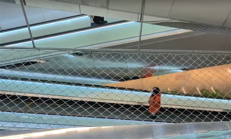 台灣新聞通訊社-快訊／爸在講電話！2歲童爬桃機電扶梯…下秒急墜2.5米　安全網救一命