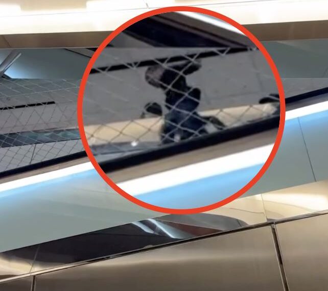 台灣新聞通訊社-趁爸講電話！2歲童爬玻璃帷幕「跳下」墜安全網　桃機公司說話了