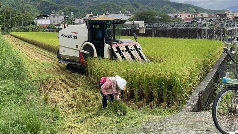 台灣新聞通訊社-對美農產品「不課SSG」會滅農？陳駿季怒了：「影響有限」對他國仍加徵