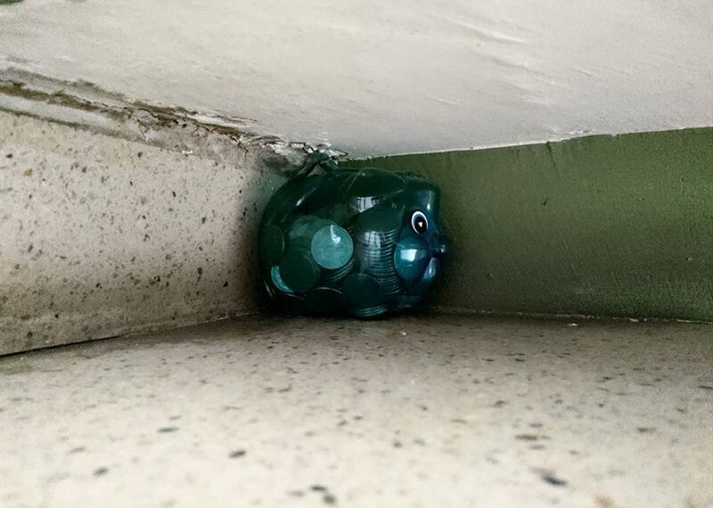 台灣新聞通訊社-陳佩琪質疑蔡英文競選「三隻小豬」活動！殺豬志工出聲打臉了