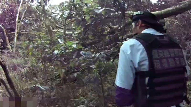 台灣新聞通訊社-不爽鄰居唱歌太吵!台東男火大開2槍洩憤 逃山區藏7天主動投案