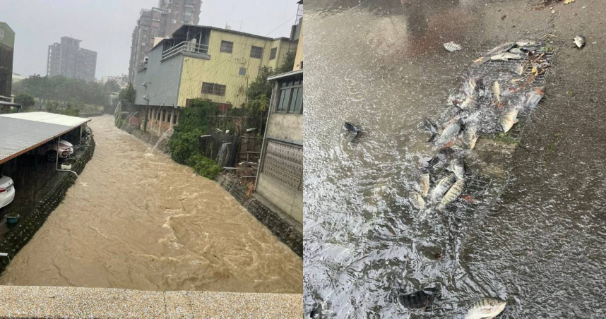 台灣新聞通訊社-大雨炸苗栗！居民住3樓家具也泡湯
