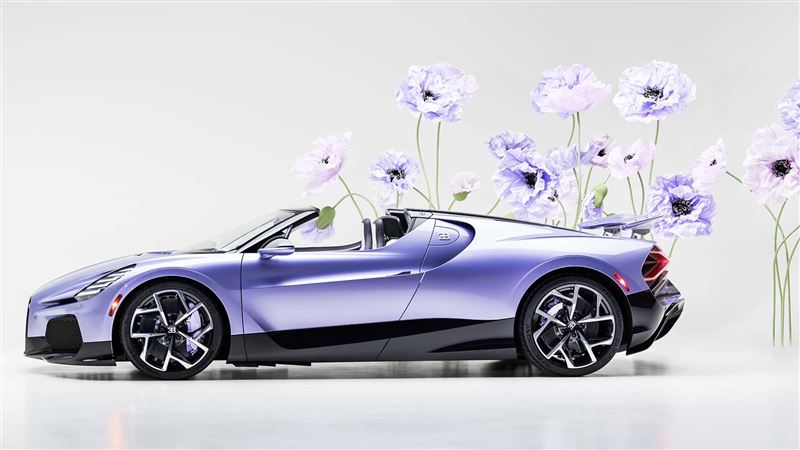 台灣新聞通訊社-怎能不愛車／1.5億買一輛「薰衣草」　布加迪訂製超跑藏滿故事