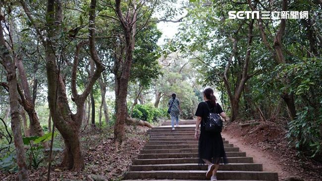 台灣新聞通訊社-週日清明節!命理師:水瓶天蠍運勢旺「重新洗牌看清5事」