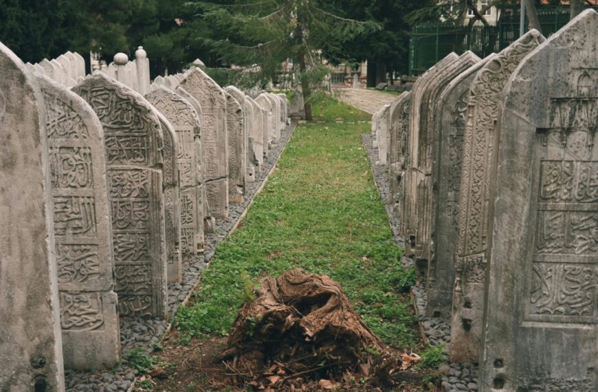 台灣新聞通訊社-誰偷挖了祖墳？兄妹掃墓驚見「母親墳墓整座消失」　 原址埋了陌生人