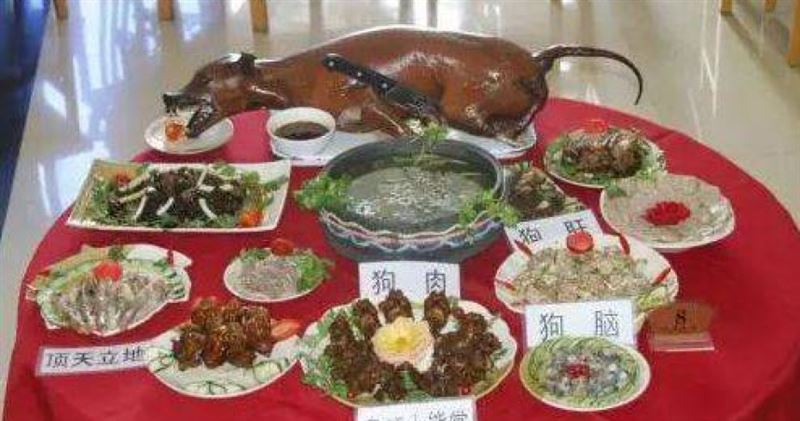 台灣新聞通訊社-陸寵物友善飯店竟推薦吃「盤江狗肉」！飼主氣炸退訂　文旅局回應了