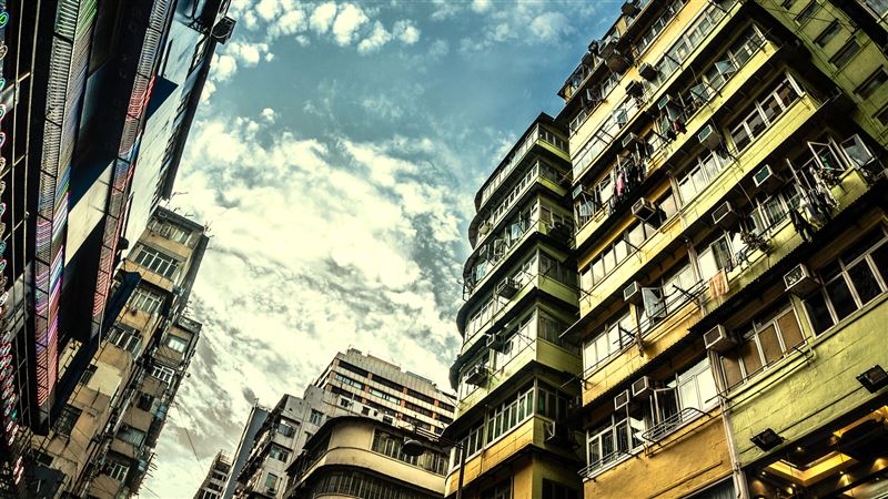 台灣新聞通訊社-嫌鄰居養鳥太吵「厝邊撕破臉」害她失眠、要看精神科…鬧上法庭結果曝