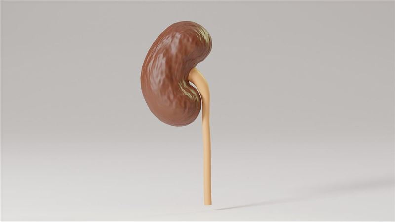 台灣新聞通訊社-吃清淡也沒用！5旬男腎功能「斷崖式下滑」　醫一聞揪元凶