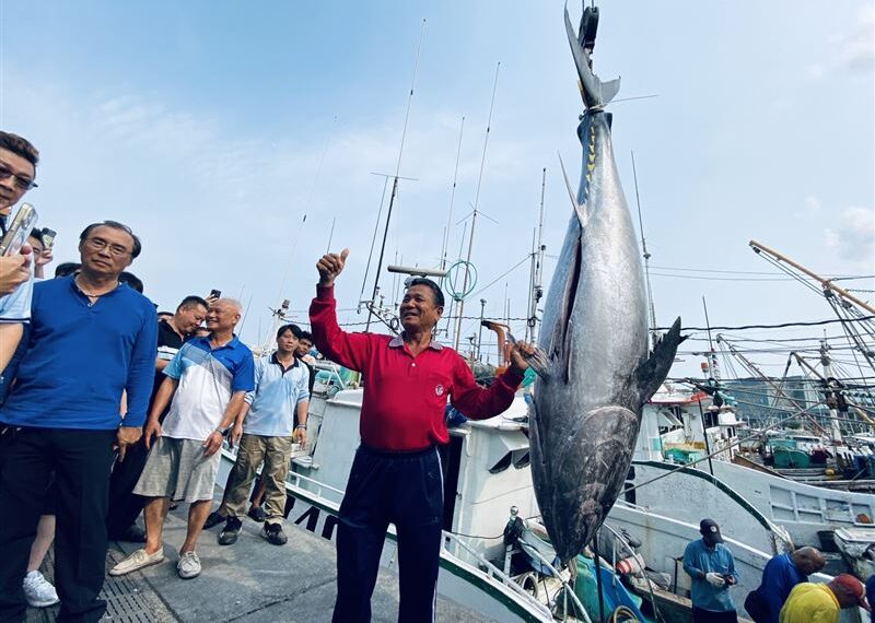 台灣新聞通訊社-53年討海魂爆發！67歲老船長勇奪第一鮪　4月8日東港震撼開賣