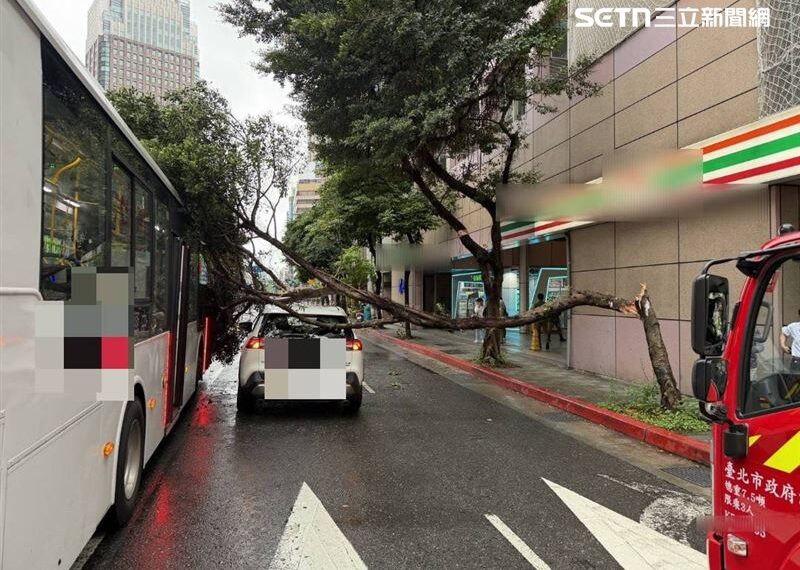 台灣新聞通訊社-警將追司機到案！北市大貨車撞斷路樹　枝幹壓毀公車及轎車車頂