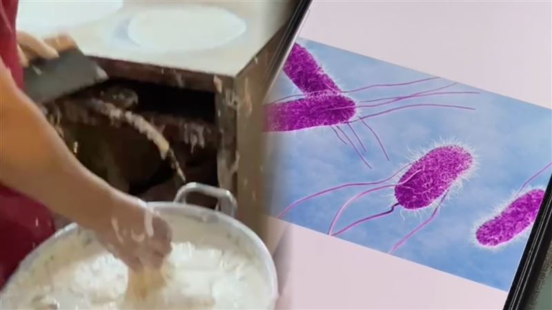 台灣新聞通訊社-快訊／春捲中毒案再擴大…增至157人！元兇沙門氏菌長相曝