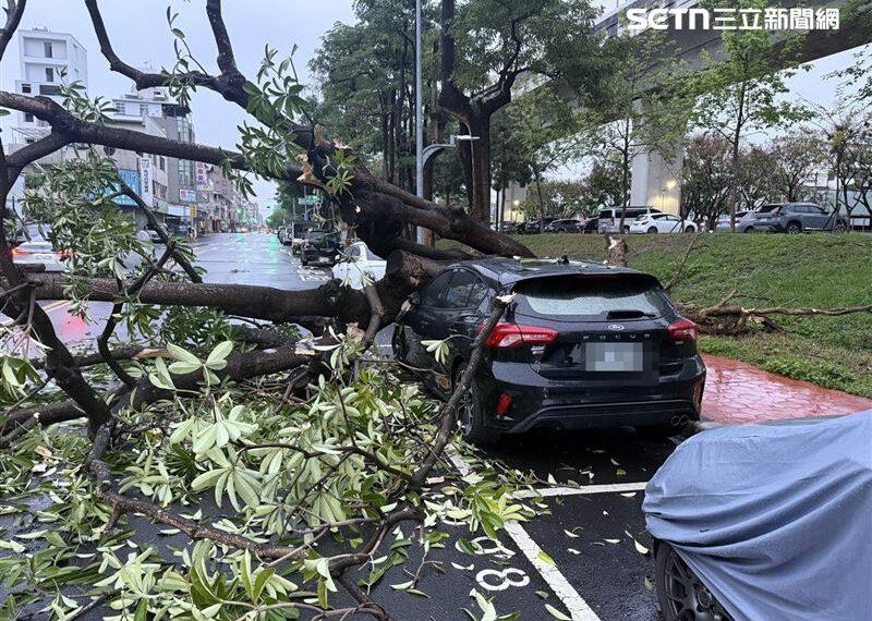 台灣新聞通訊社-快訊/台中雨下不停路樹爛根倒塌!轎車慘遭「泰山壓頂」