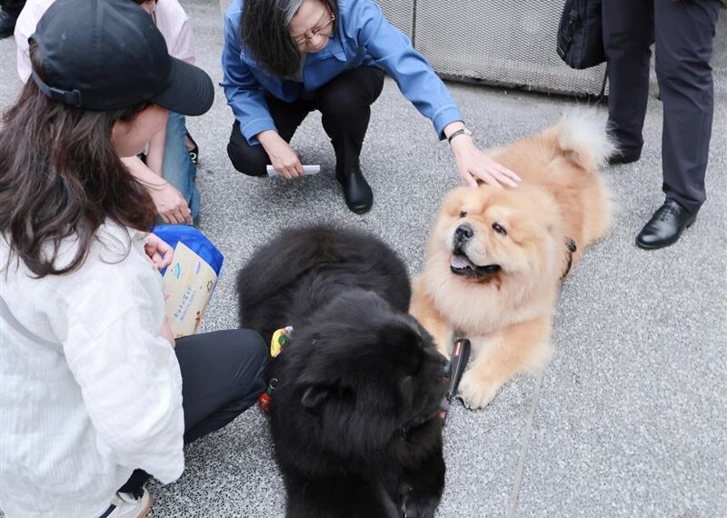 台灣新聞通訊社-剛看完電影　「蔡英文被狗狗包圍」畫面曝光！網驚：根本仙杜瑞拉