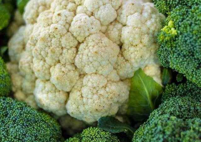 台灣新聞通訊社-當兵共用2物竟染菜花？苦主沒亂來衰遭分手　醫曝同行更慘：鼻孔也長