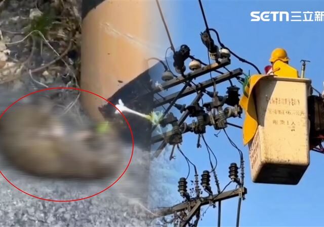 台灣新聞通訊社-快訊／陸軍官校停電…肇事者捲曲死亡！影響範圍曝光