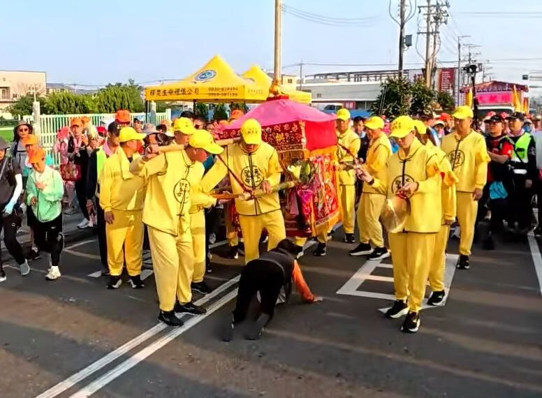 台灣新聞通訊社-阿婆「硬鑽轎底」求白沙屯媽祖！轎班人員急擋也沒用　信眾全看傻