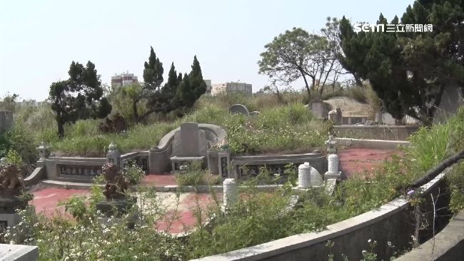 台灣新聞通訊社-清明掃墓禁忌一次看！5類人別上墳　供品地雷、祭拜眉角全曝光