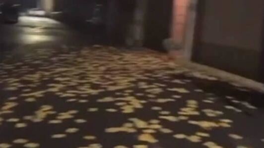 台灣新聞通訊社-彰化5黑衣猴深夜放炮撒冥紙！火苗炸進民宅車庫　囂張嗆：下次會注意