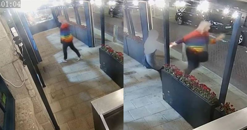 台灣新聞通訊社-盲目救生變殺生！動保女強奪餐廳寵物龍蝦丟海　誤將淡水蝦送死路