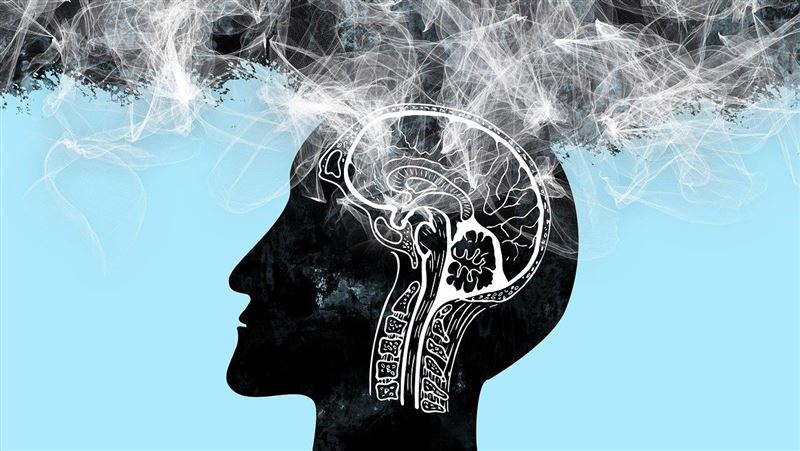 台灣新聞通訊社-失智症可預防？權威研究曝「45%可預防」醫揭預防黃金期及5大護腦守則