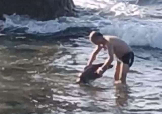 台灣新聞通訊社-中國半裸男遊小琉球「雙手抓起海龜」辯：牠被浪拍過來　最重恐關1年