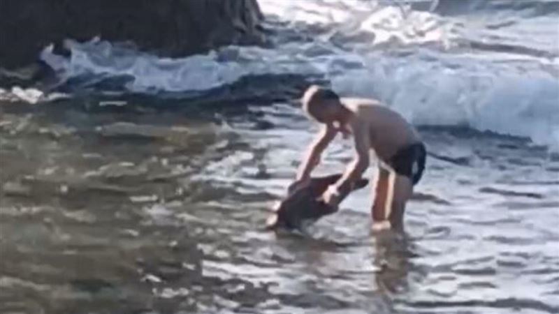 台灣新聞通訊社-中國半裸男遊小琉球「雙手抓起海龜」辯：牠被浪拍過來　最重恐關1年