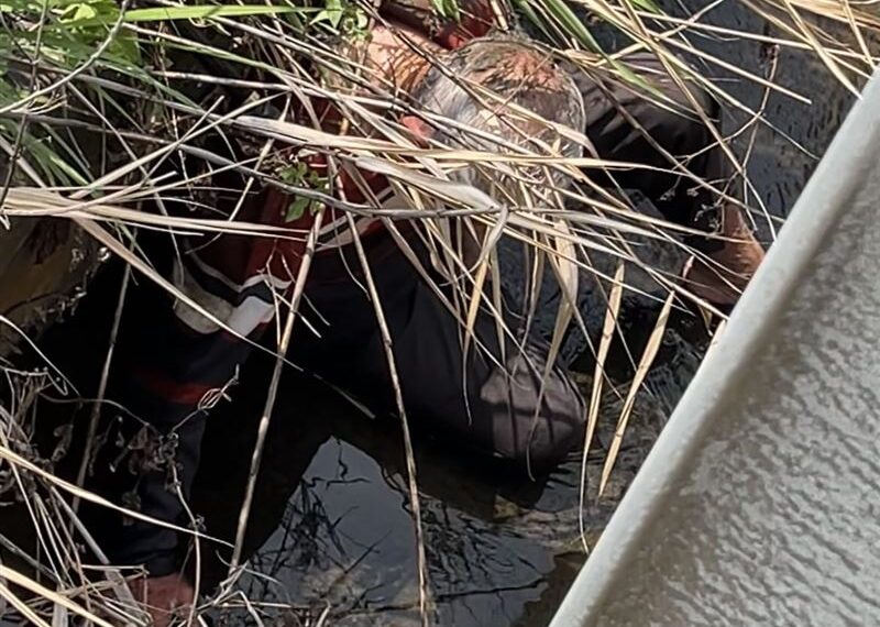 台灣新聞通訊社-水溝內傳陣陣哀嚎！93歲阿公墜落全身傷受困　熱血學生救一命獲讚聲