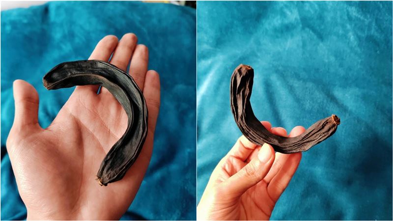 台灣新聞通訊社-香蕉放8年沒壞！變「活化石」不腐不爛　網一看全跪了