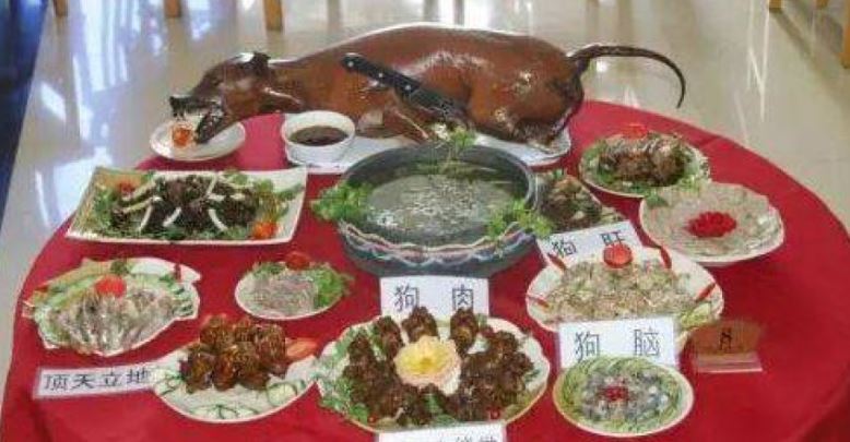 台灣新聞通訊社-寵物友好飯店竟推「狗肉料理」?飼主崩潰退訂 網諷:誰敢帶狗去?