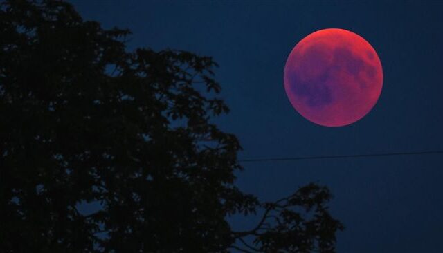 台灣新聞通訊社-倫敦2猶太男性遭刺傷　警方定調為恐怖主義事件