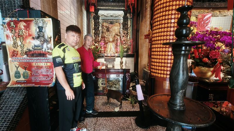 台灣新聞通訊社-山羌闖萬里昭靈宮避寒！廟公連擲3聖杯暖心庇護　動保處助牠重返山林
