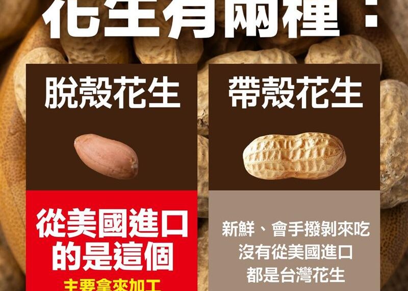 台灣新聞通訊社-進口、本土花生到底差在哪？4圖卡一看秒懂　綠營籲：別信雲林張家的話