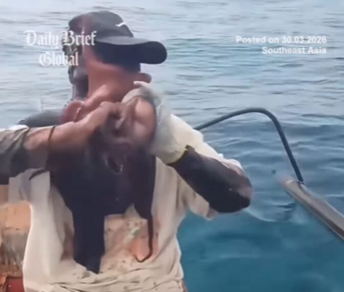 台灣新聞通訊社-慘遭章魚「八爪吸臉」反擊　漁夫驚恐掙脫影片曝！網驚：以為臉被撕掉